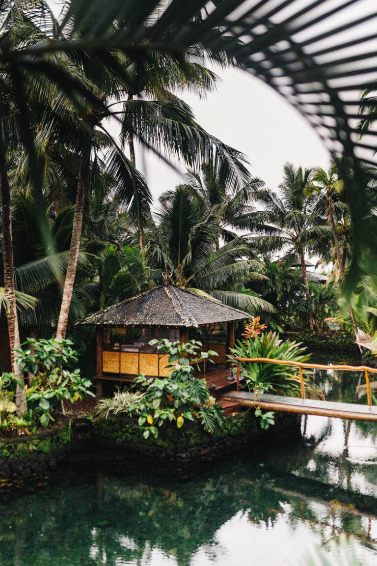 How to Find the Best Pet Insurance for Your Dog 2